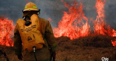 Incendios dañaron 47 mil 544 hectáreas