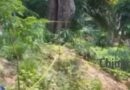 Abandonan 7 cuerpos con signos de violencia en la Selva Lacandona