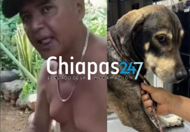 Crueldad en Tapachula: mutila a su perro con machete y desata indignación