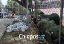 Vecinos de Xamaipak denuncian abandono municipal; reclaman cancha inconclusa y promesas incumplidas de Ángel Torres Vecinos de Xamaipak denuncian abandono municipal; reclaman cancha inconclusa y promesas incumplidas de Ángel Torres