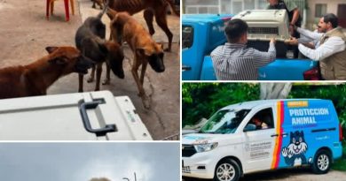 ¿Control de daños? Tras infundada acusación contra caricaturista, Ayuntamiento de Tuxtla presume rescate de perros ¿Control de daños? Tras infundada acusación contra caricaturista, Ayuntamiento de Tuxtla presume rescate de perros