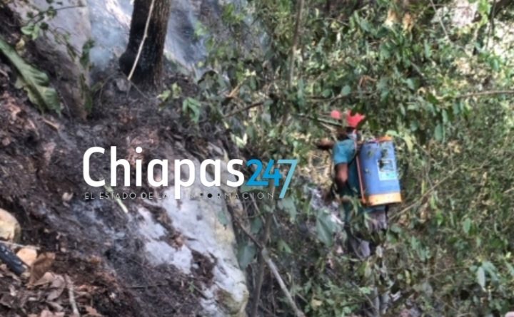 Incendio sigue activo en cerro entre Copainalá y Coapilla